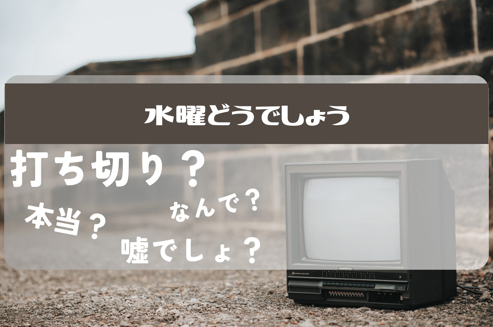 水曜 どうでしょう 打ち切り 理由