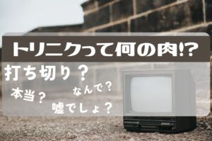 トリニクって何の肉!?