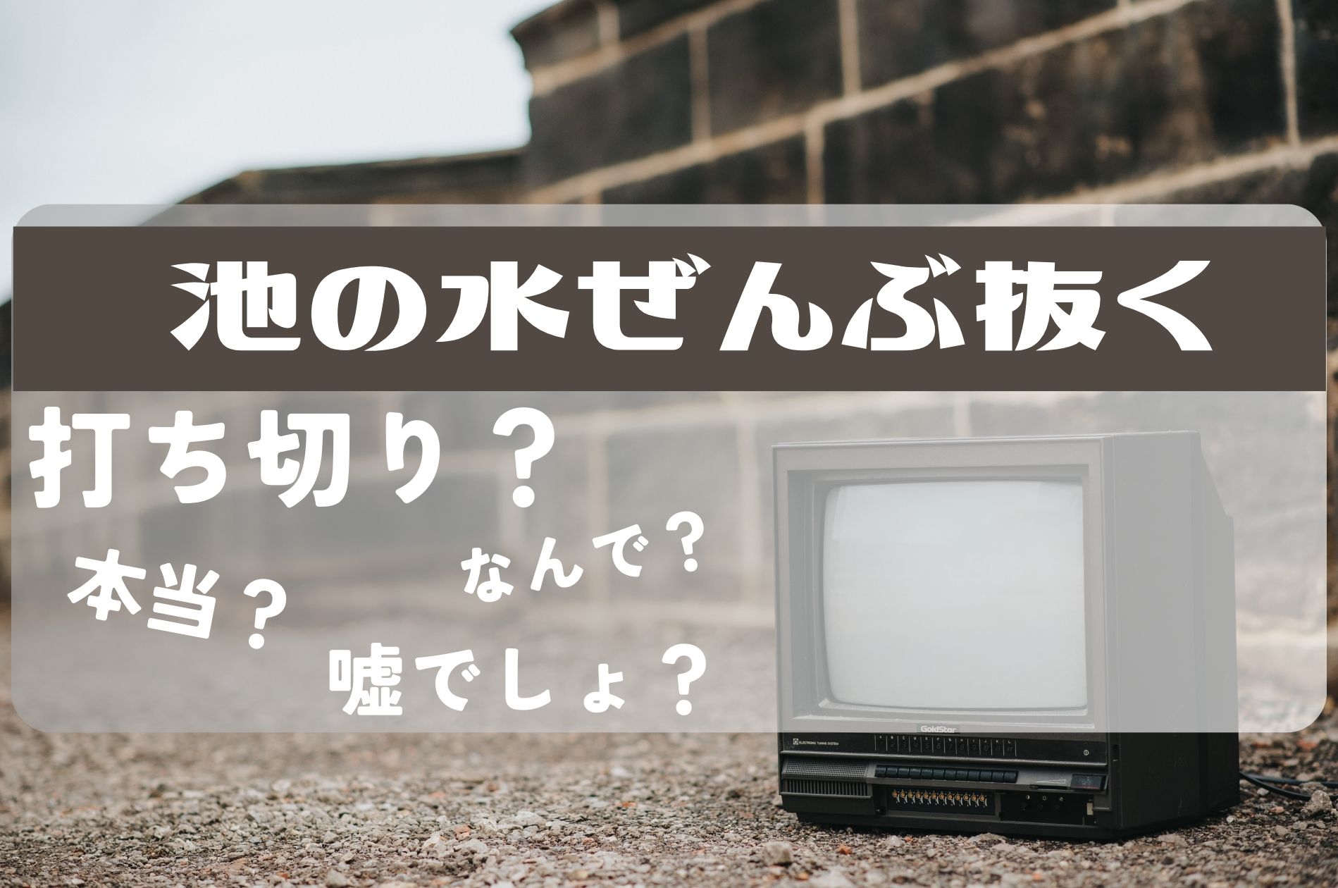 池の水全部ぬく打ち切り