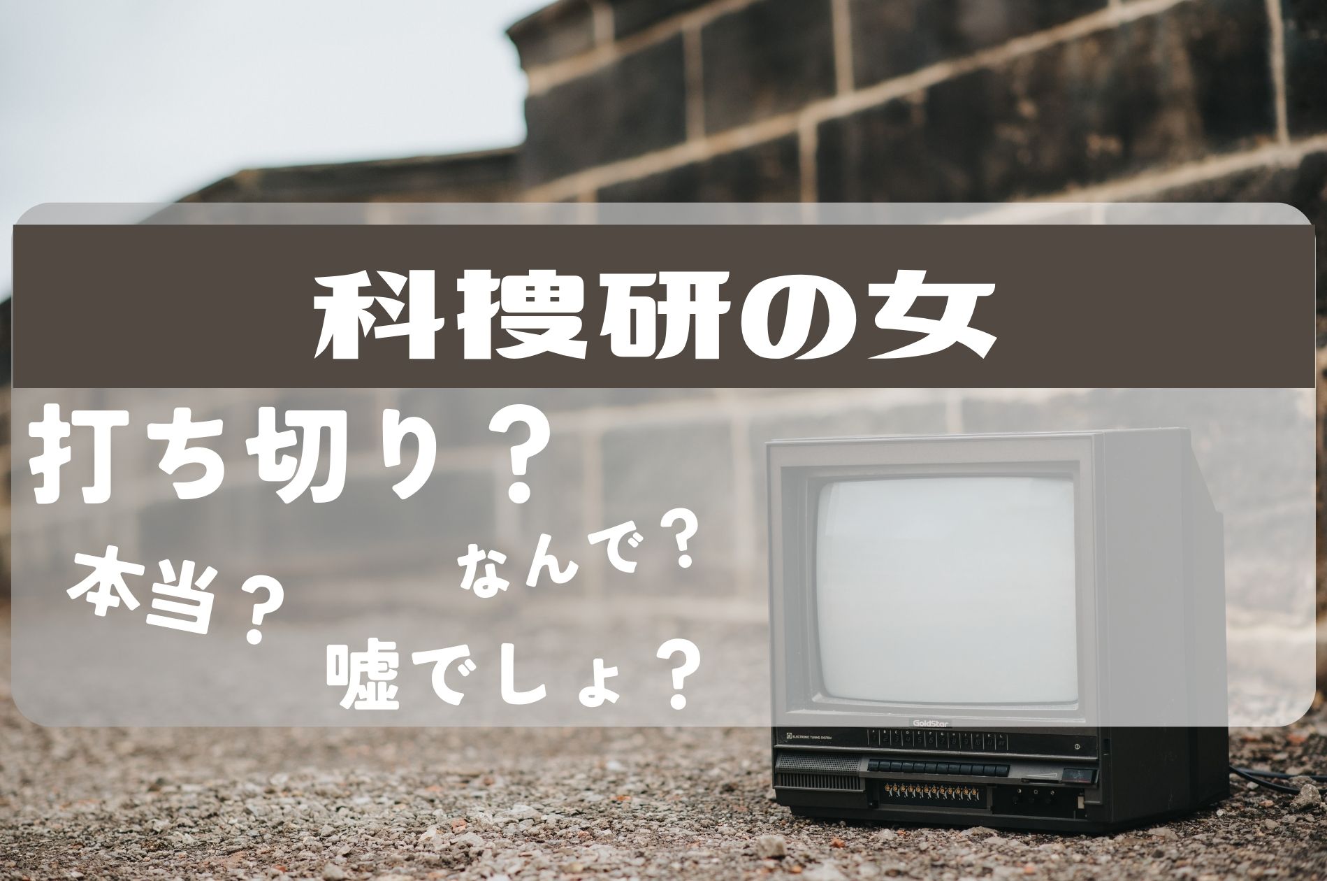 科捜研の女打ち切り
