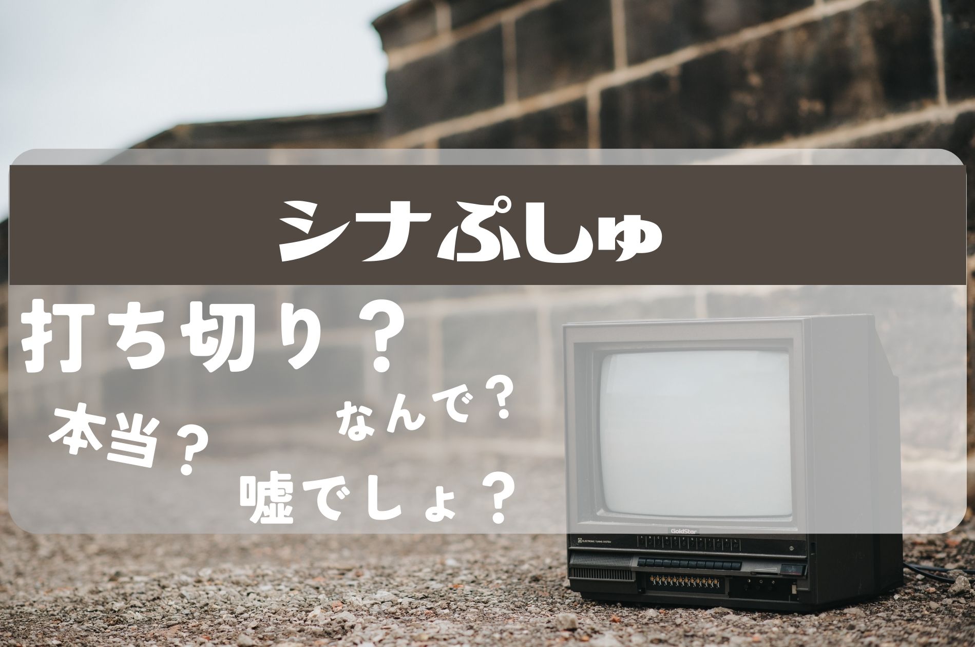 シナぷしゅ打ち切り2