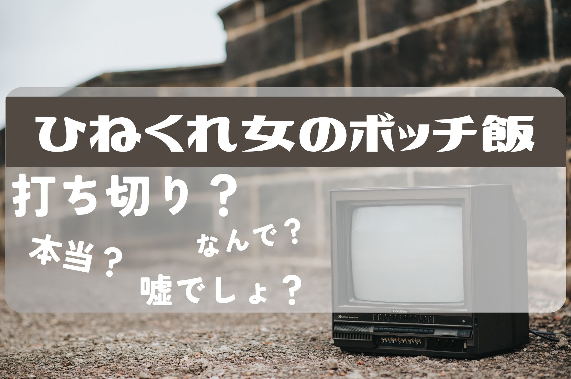 ひねくれ女のボッチ飯打ち切り